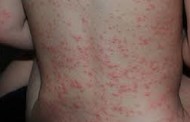Грачи: Мудрые стражи весны и хитрые жулики