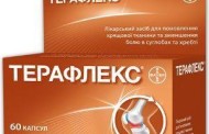 Трясогузки: Полет по следам красоты и элегантности