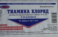 Пингвины: Удивительные обитатели ледяных просторов