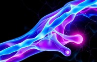 Диагностика и лечение болезни Бехтерева: как сохранить качество жизни