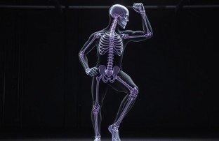 Как сохранить здоровье суставов и мышц, если вы увлечены фитнесом: практическая профилактика заболеваний опорно-двигательного аппарата
