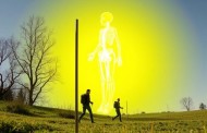 Ходьба с палками: как Nordic walking влияет на плотность костей и здоровье скелета