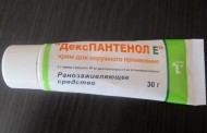 Медвежьи тайны: Узнаем увлекательные факты о нашем мохнатом соседе