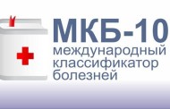 Удивительный мир животных Китая: откройте для себя уникальную фауну Поднебесной
