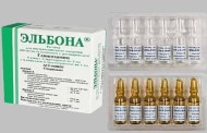 Лысый ежик: удивительное создание природы