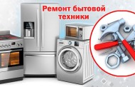 Рысь: загадочная красота дикой природы