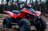 Бензиновые квадроциклы: как выбрать, эксплуатировать и не пожалеть