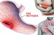 Полет маленькой радости: увлекательный мир малиновки