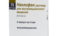 Пеночка весничка: маленький певец природы