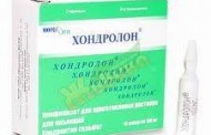 Китоглав: Удивительное создание морских просторов