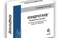 Журавли: Странники небес, которые завораживают своим величием