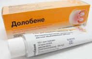 Дикобразы: колючие соседи наших лесов