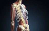 Анорексия и остеопороз: критическое снижение костной массы — что важно знать