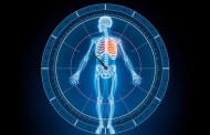 Циркадные ритмы и метаболизм костей: как биоритмы направляют нашу опорную систему