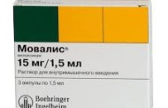 Гикон: Малыш, который покорил сердца любителей экзотических животных