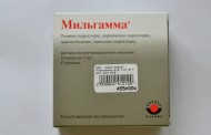 Инструкция и описание препарата Мильгамма