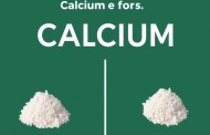 Формы кальция: какая лучше усваивается?
