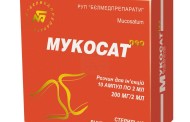 Восстановление здоровья суставов вместе с Мукосатом