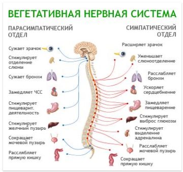 Всд на фоне остеохондроза